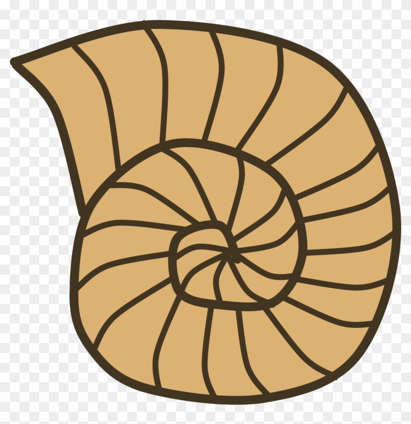 Clipart - Snail Shell Clipart #276152