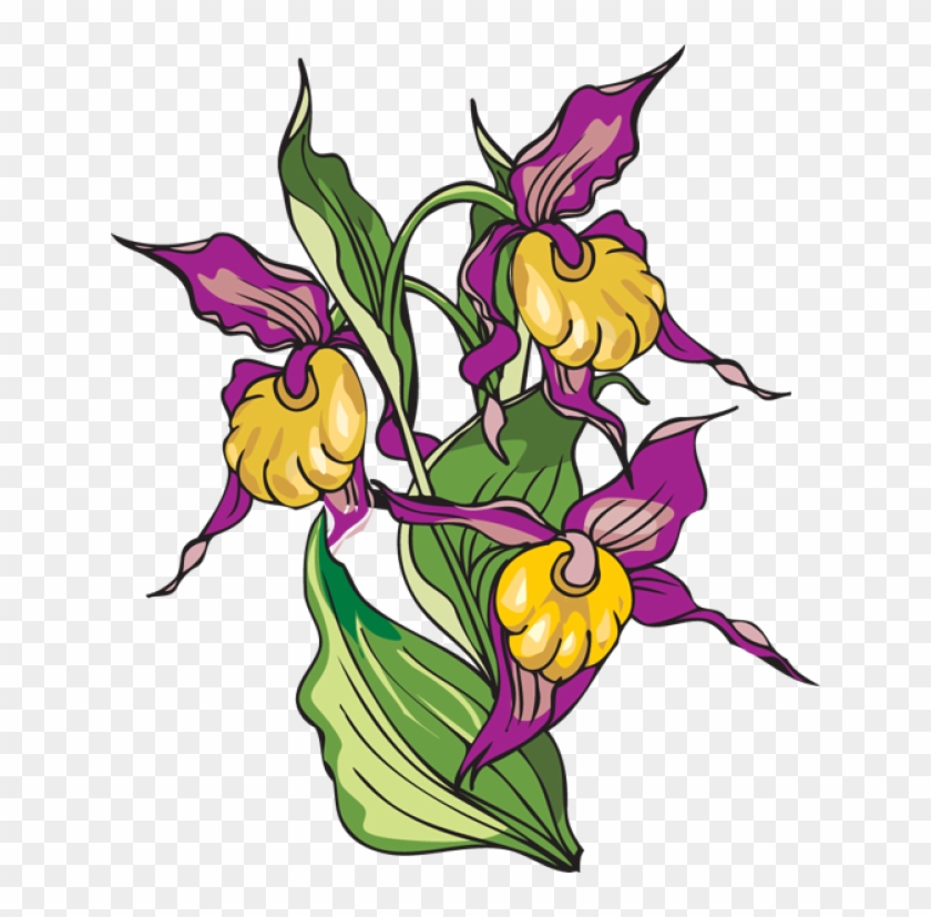 Iris Flower Clipart - Yellow Lady's Slipper #276326