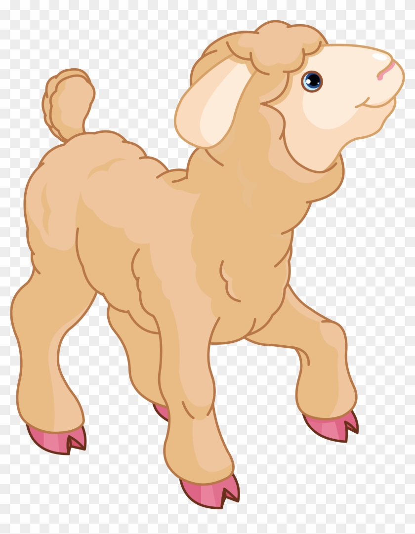 Little Lamb Clipart Clipart Kid - Lamb And Sheep Clipart #276330