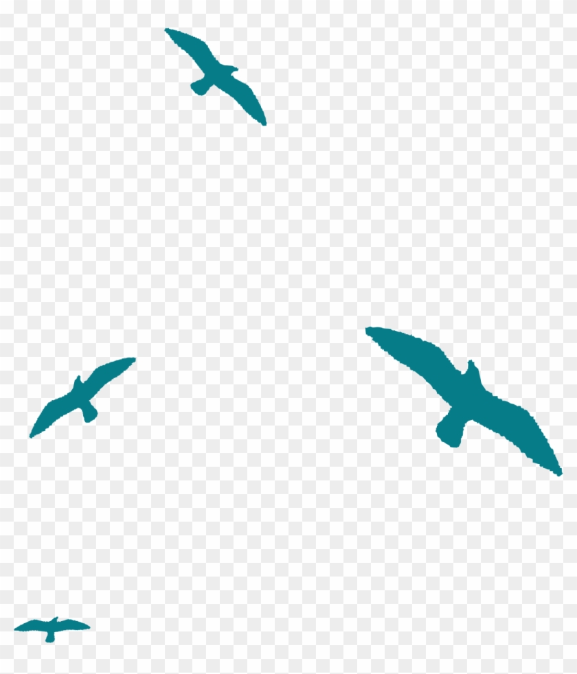 Bird Silhouette - Birds Silhouette - Bird Silhouette - Birds Silhouette #276488