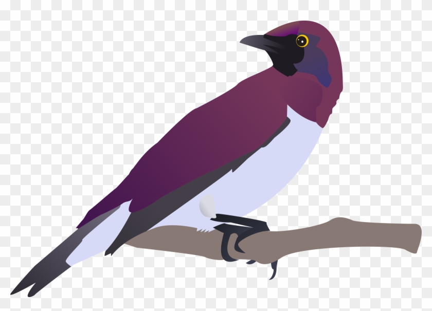 Mockingbird Exotical Bird Clip Art At Vector Clip Art - Exotic Bird Clipart #276532