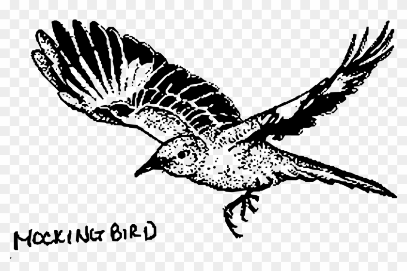 Big Image - Mockingbird Png #276537