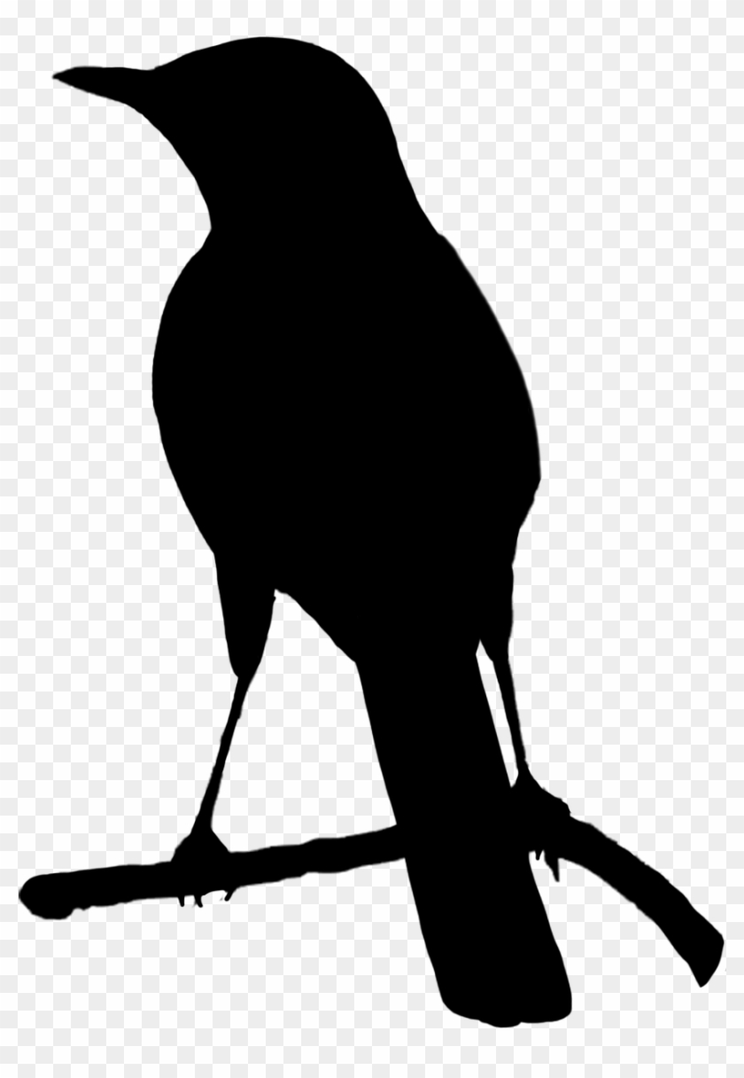 Black Silhouette Of Bird - Bird Silhouette Png #276629