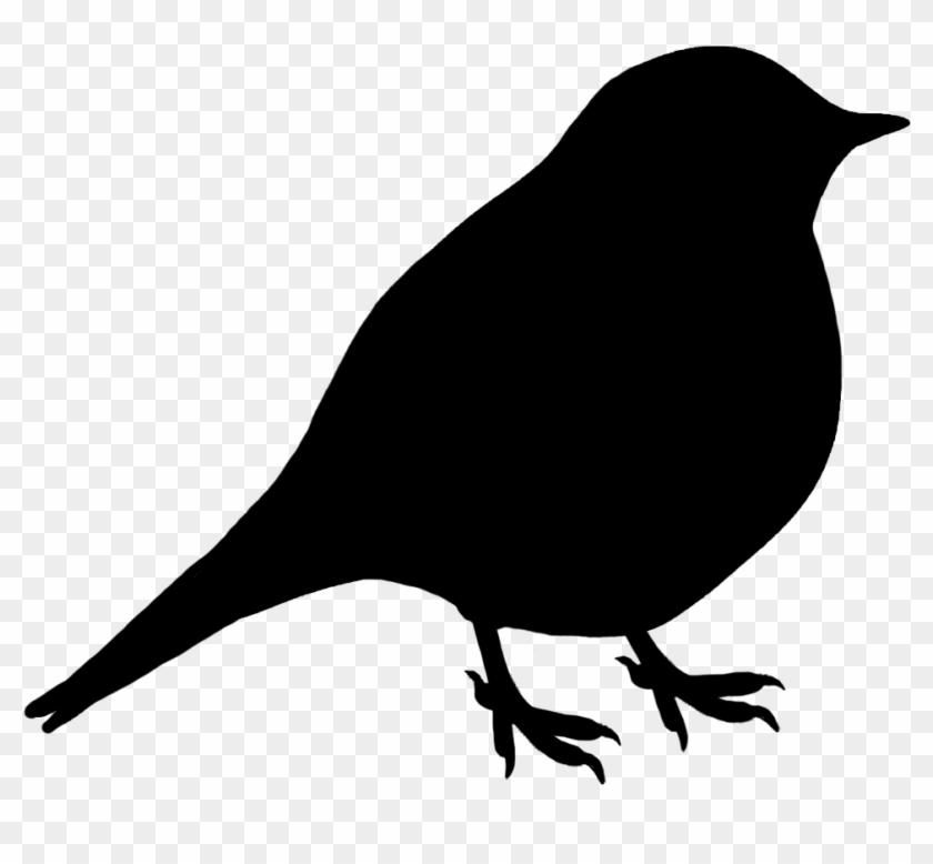 Songbird Clipart Bird Shadow - Silhouette Of A Bird #276633