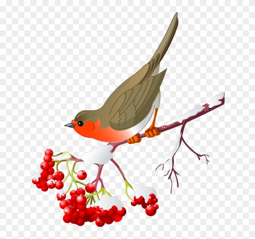 Pretty Bird Clipart - Red Cardinal Clipart #276636