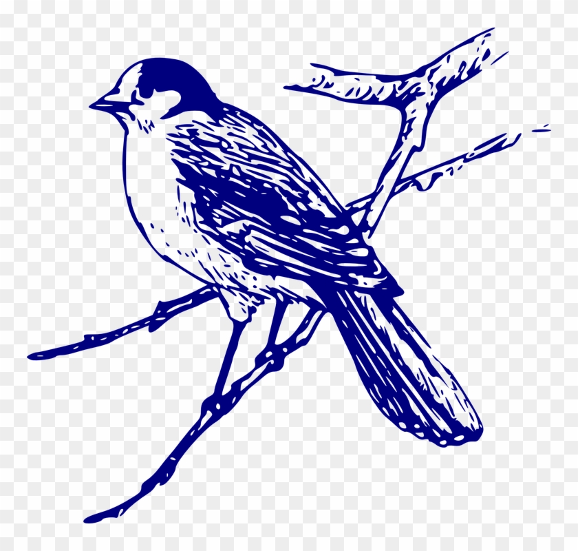 Bluebird Clipart - Blue Bird Images Free #276660