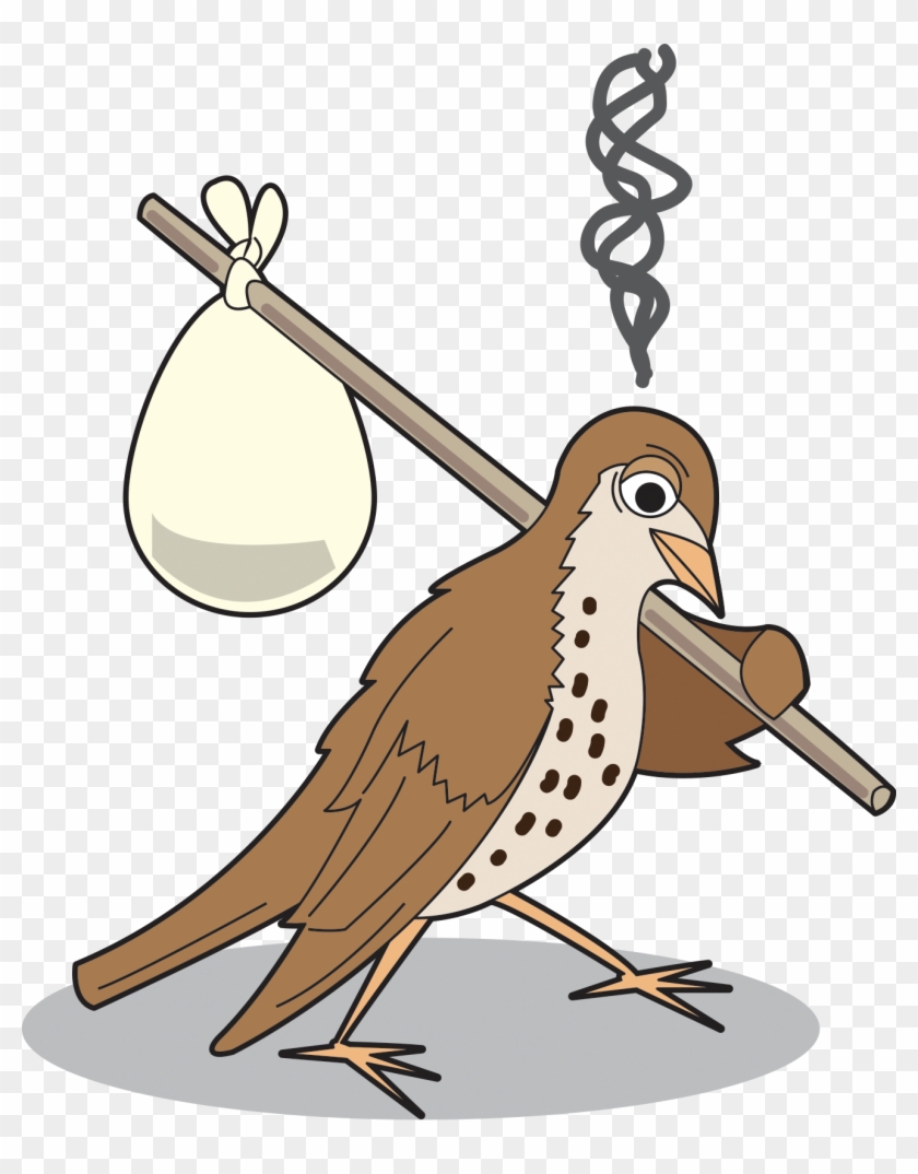 A Cartoon Of An Upset Bird With A Stick And Bindle - Climate Change On Birds #276874