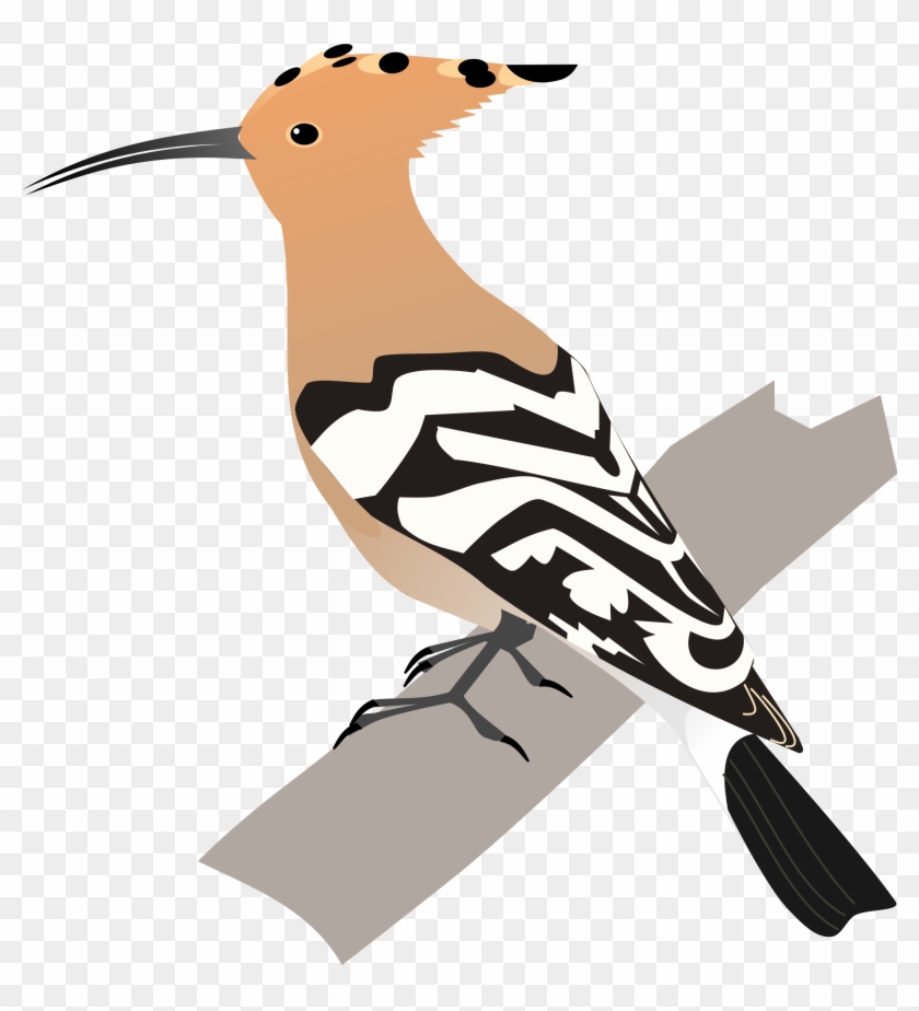 File - Png All Birds #276881