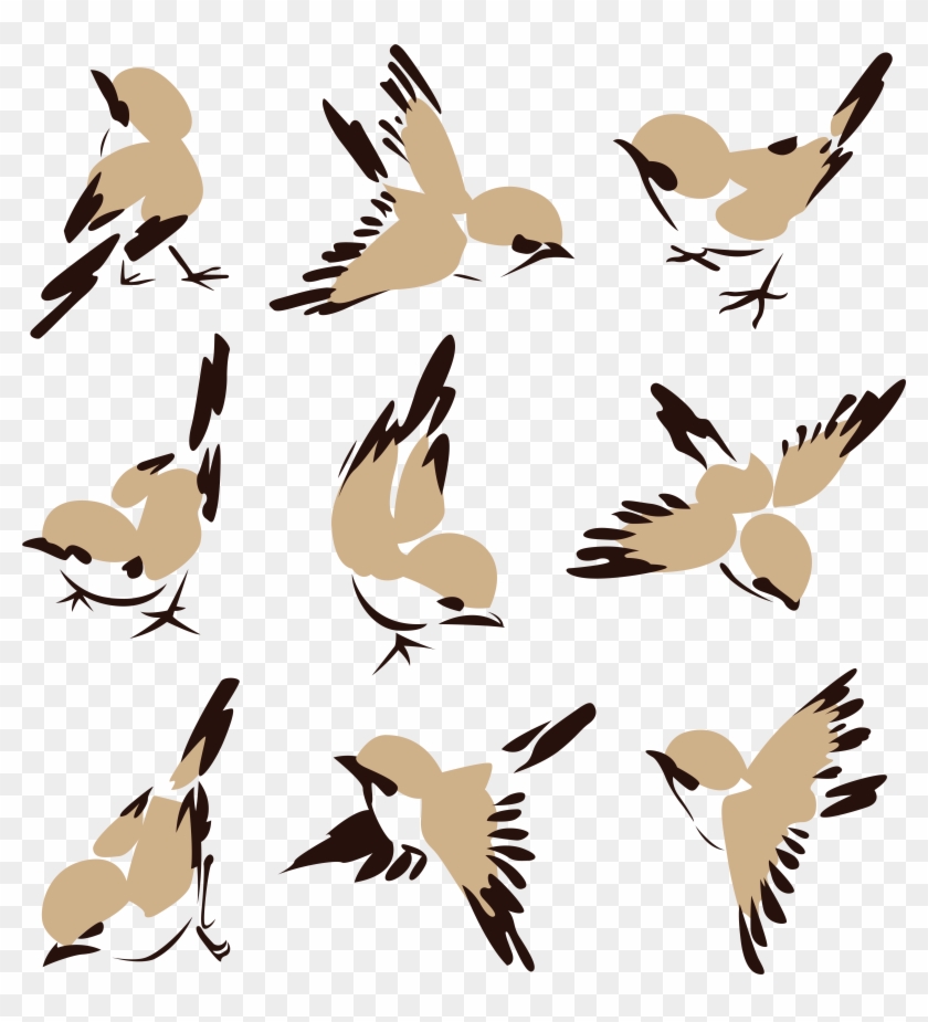 Картинка В Png - Sparrow Vector #276916