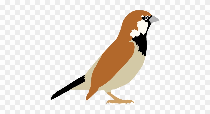 Song Sparrow Bird House Sparrow Clip Art - Sparrow Clipart Transparent #276920