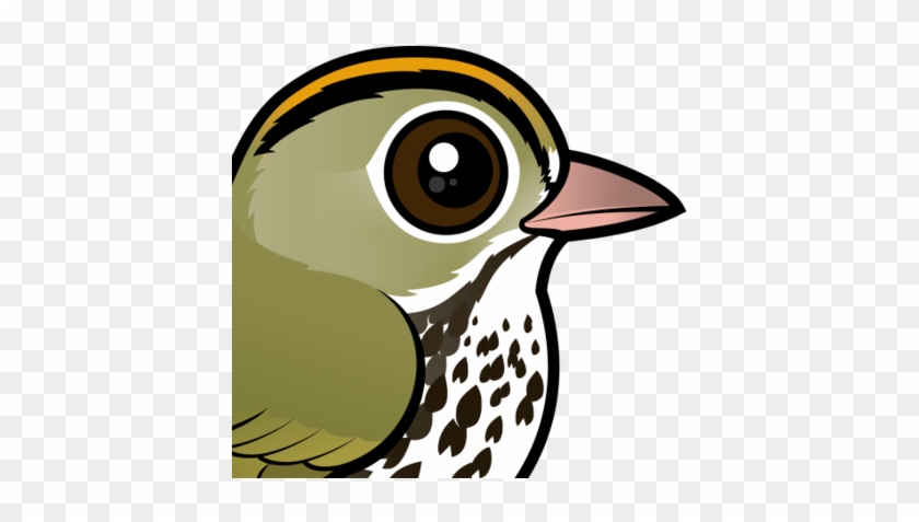 Species Of New World Warbler That Breeds Across Much - Ovenbird Png Transparent #276974