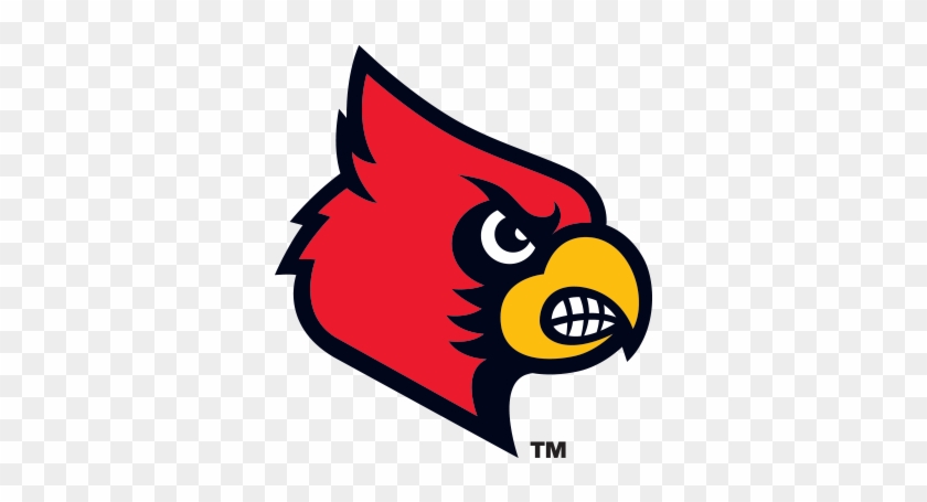#28 Louisville Cardinals - U Of L Cardinal #276979