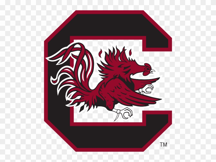 College Football - University Of South Carolina #277067