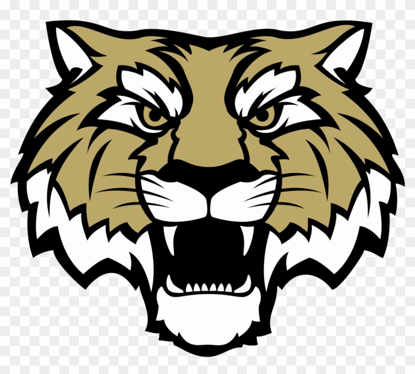 Lebanon Tigers - Lebanon High School Indiana #277454
