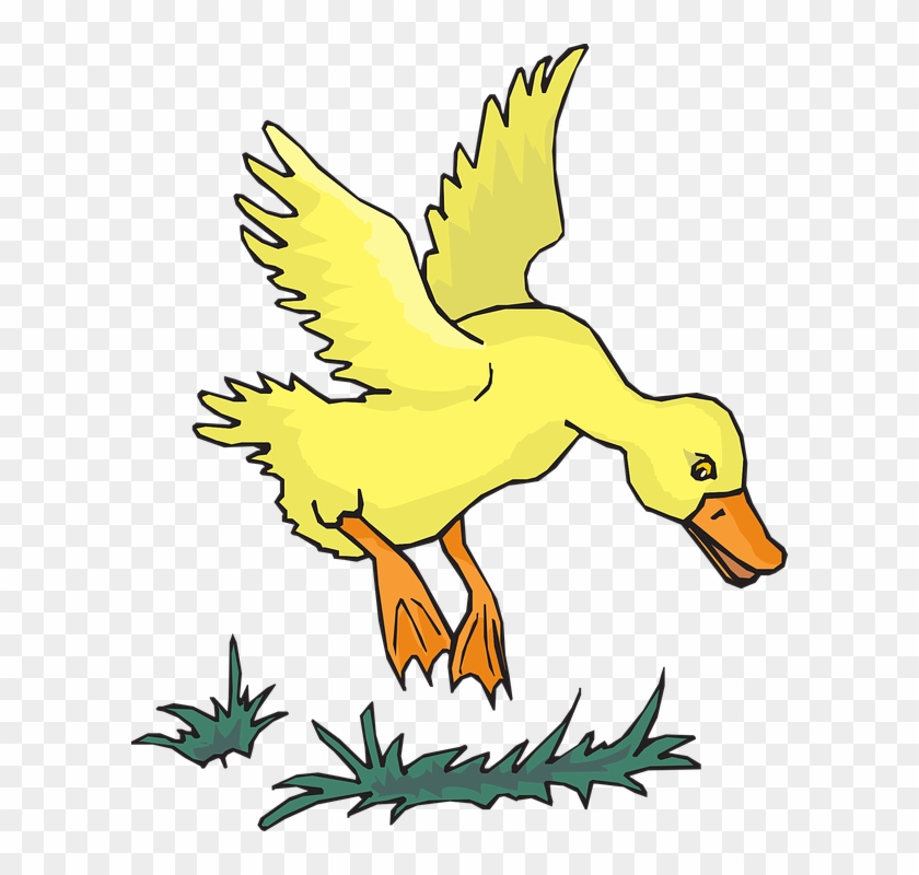 Birds Flying Cliparts 19, - Flying Duckling Clipart #277492