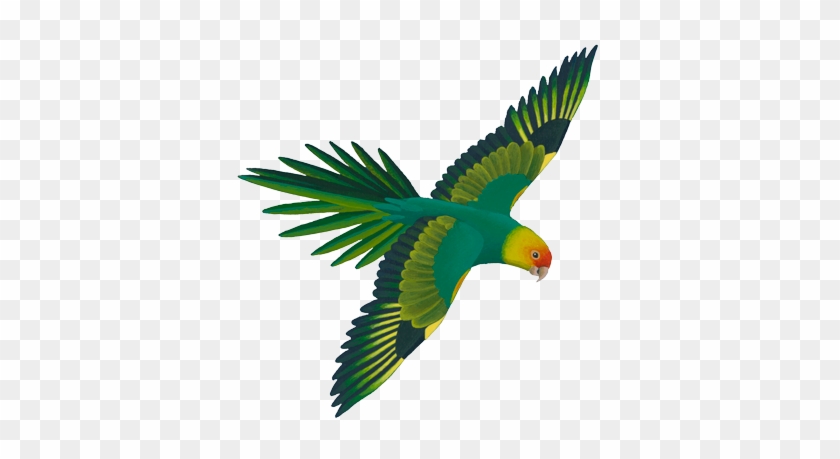 Parrot Clipart Real - Green Flying Parrot Png #277550