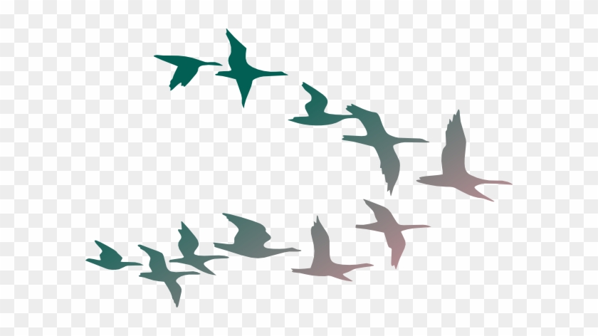 Birds In Flight Clip Art - Flock Of Birds Clipart #277569
