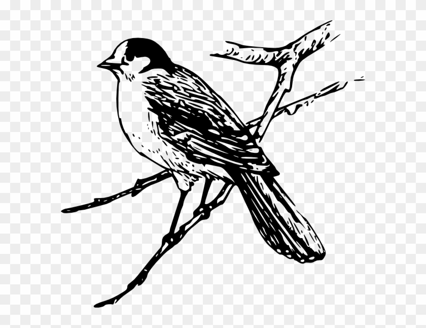 Maya Bird Clip Art #277633