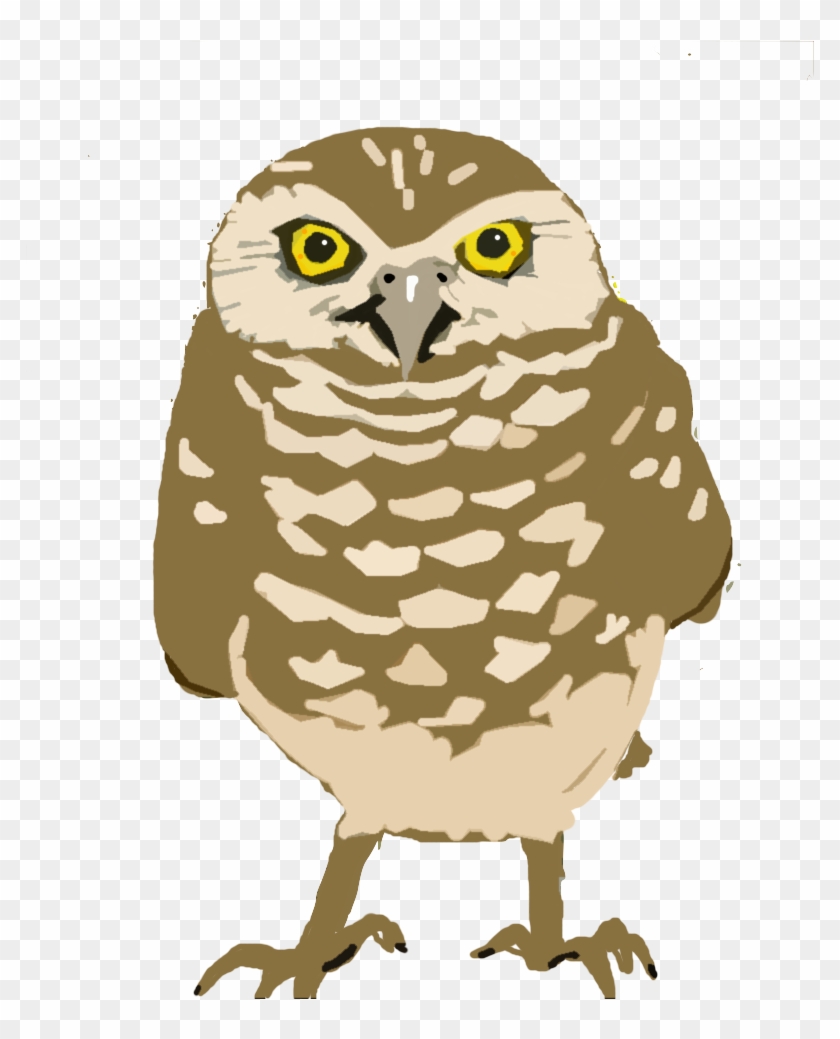 Burrowing-owl Copy - Owl #277839