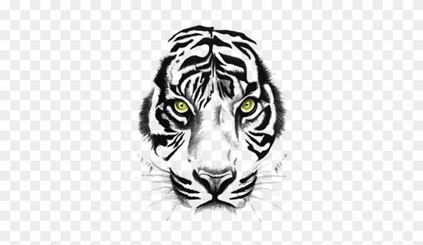 Tiger face tattoo design Royalty Free Vector Image