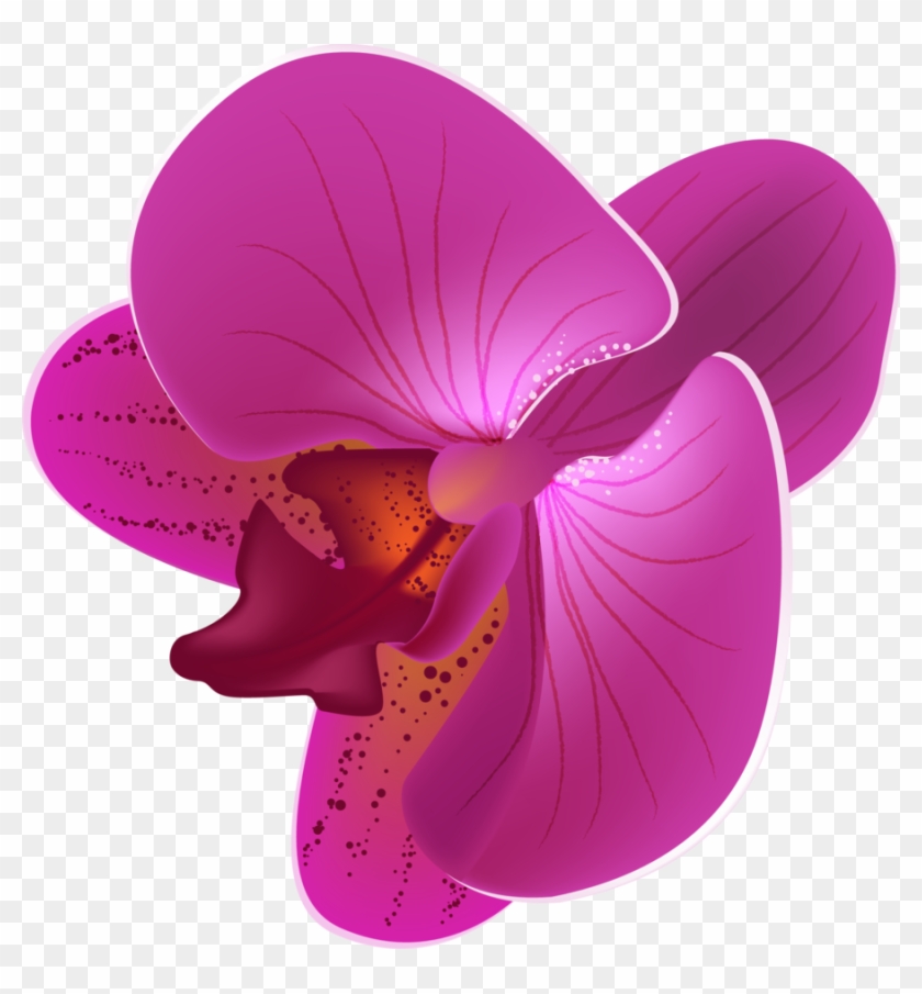 Orchid Vector - Orchid Flower Vector Png #277940