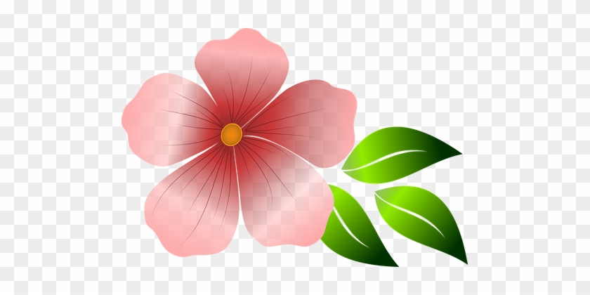 Flower, Pink Flower, Spring, Summer - Flores Rosadas Vectores Png #277946
