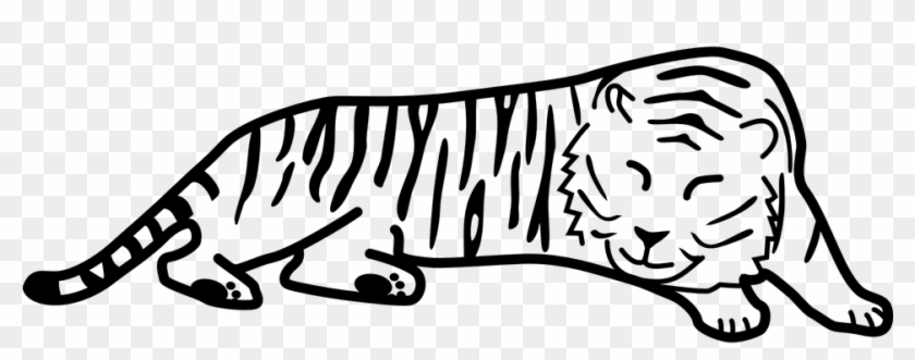 Black And White Tiger Clipart - Tiger Outline #277947
