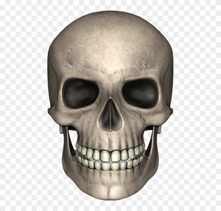 Skull Image 22, Buy Clip Art - Face Skull Png #277966