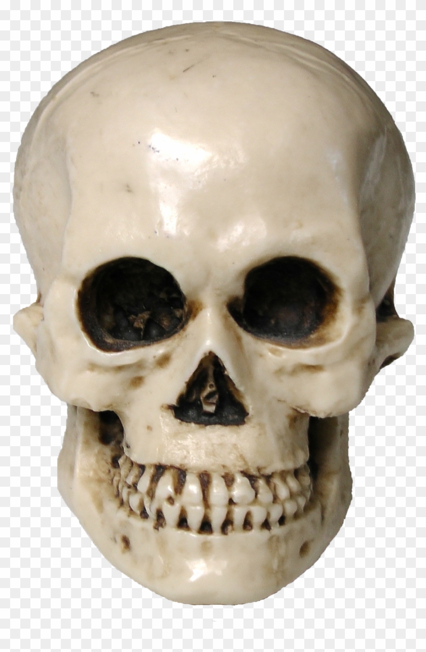 Skull #277977