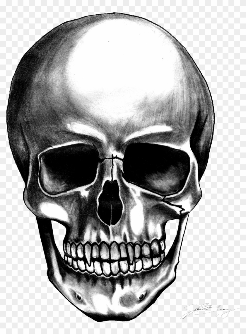 Skull Transparent Background #277990