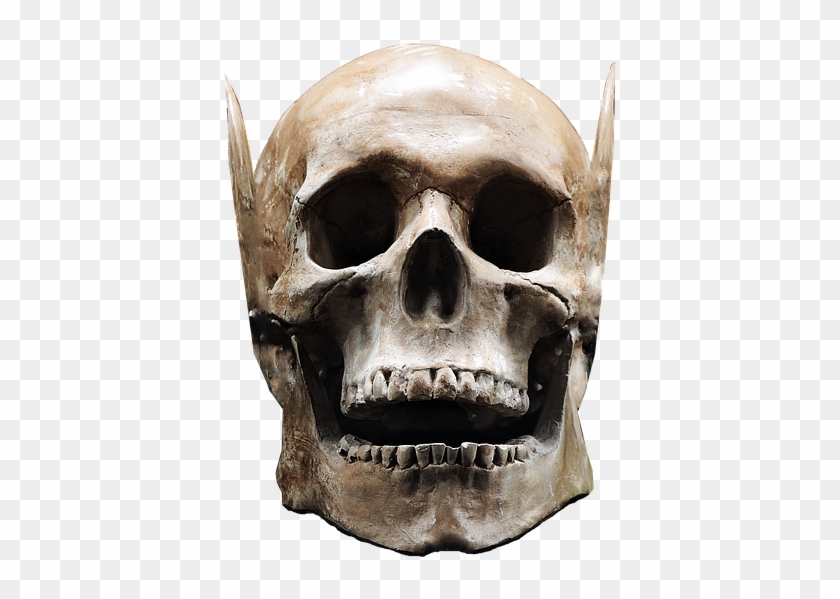 Skull Image 18, Buy Clip Art - Skull Isolated #277993