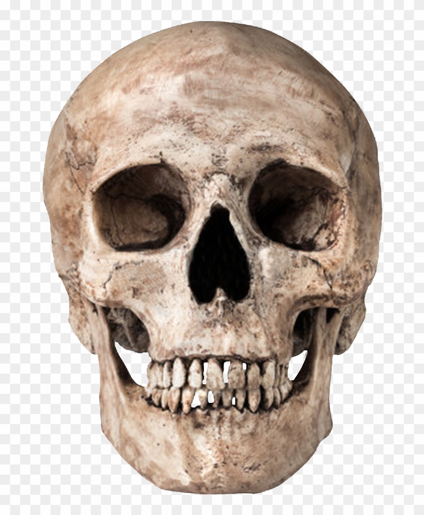 Skull - Skull Png #278007