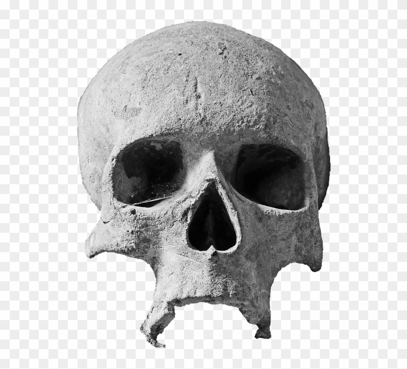 Skull Pics Download - Skull Head Png #278012
