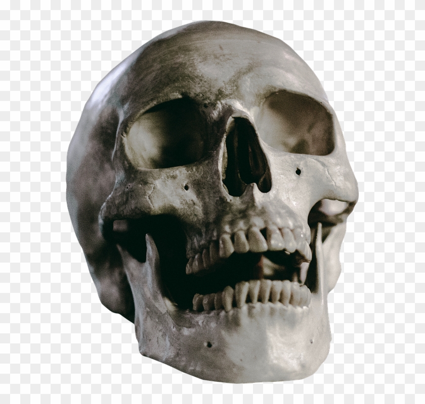 Skull 17, Buy Clip Art - Skull #278017