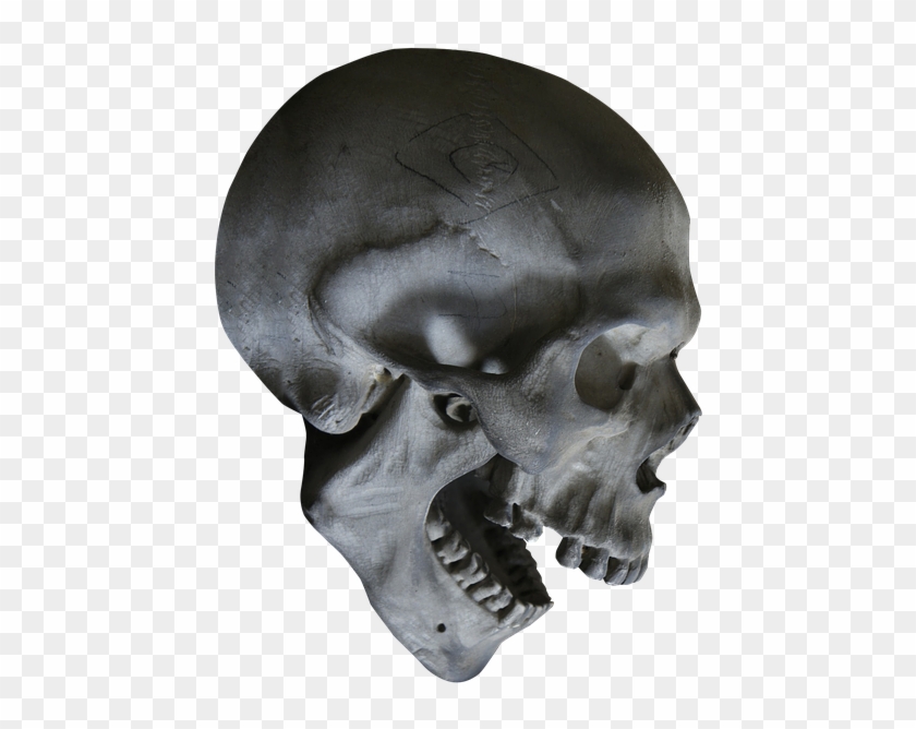 Skull Pics Download 9, Buy Clip Art - Skull #278020