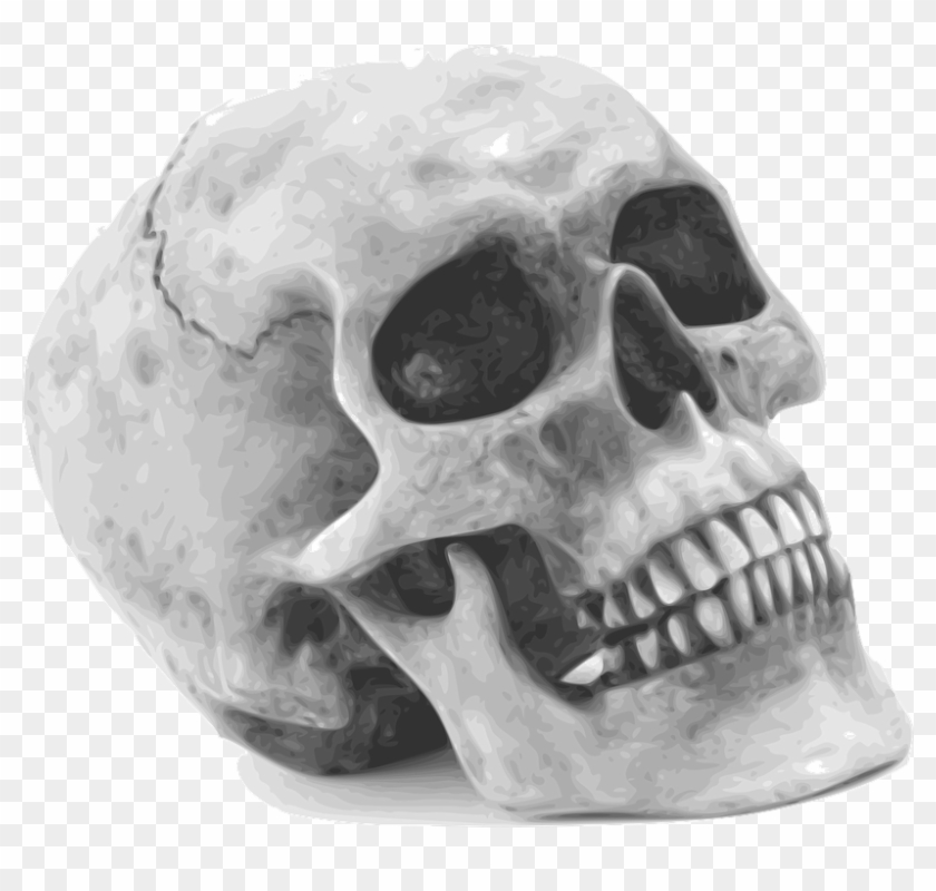 Skull Png 29, Buy Clip Art - Gifts & Decor Grinning Realistic Replica Human #278046