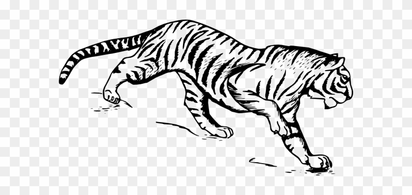 Tiger Clip Art At Clker - Tiger Drawing Png #278081