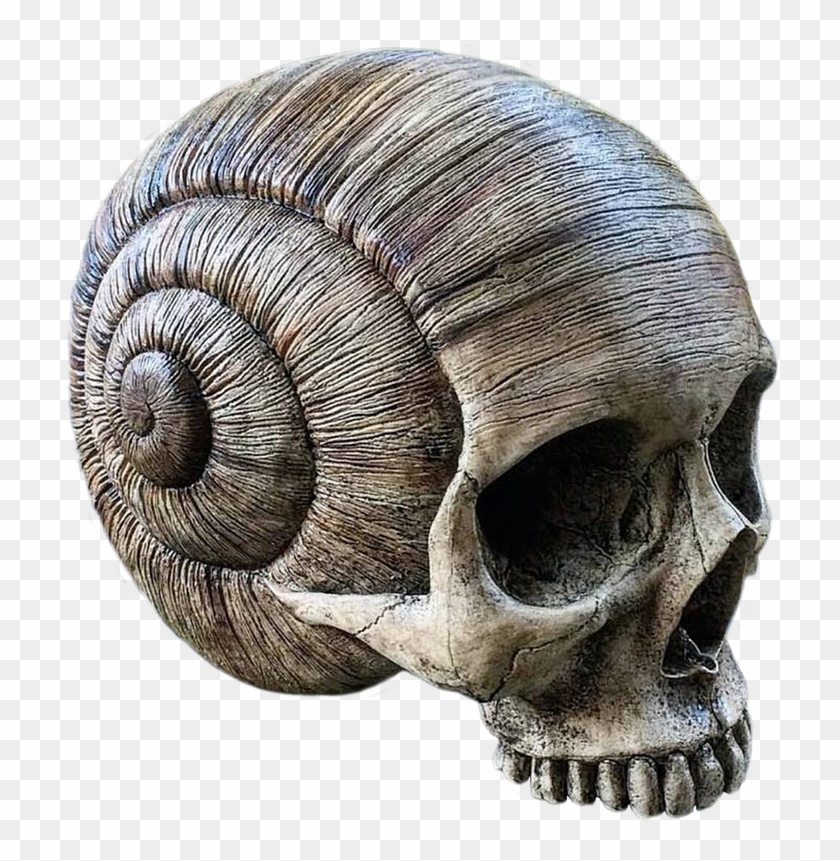 Skull 2, Buy Clip Art - Animal Bones And Skull Png #278140