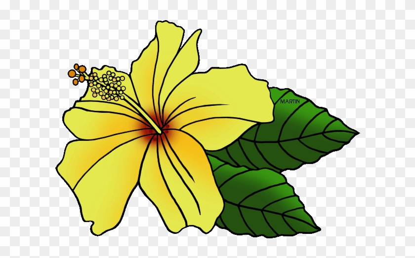 United Clip Art By Phillip Martin State Flower Hawaiian - Hawaii State Flower Clip Art #278175