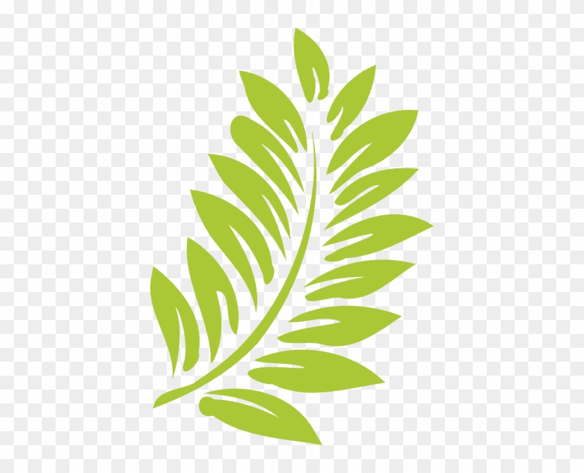 Hawaii Clipart Leaf - Transparent Background Leaves Clipart #278185