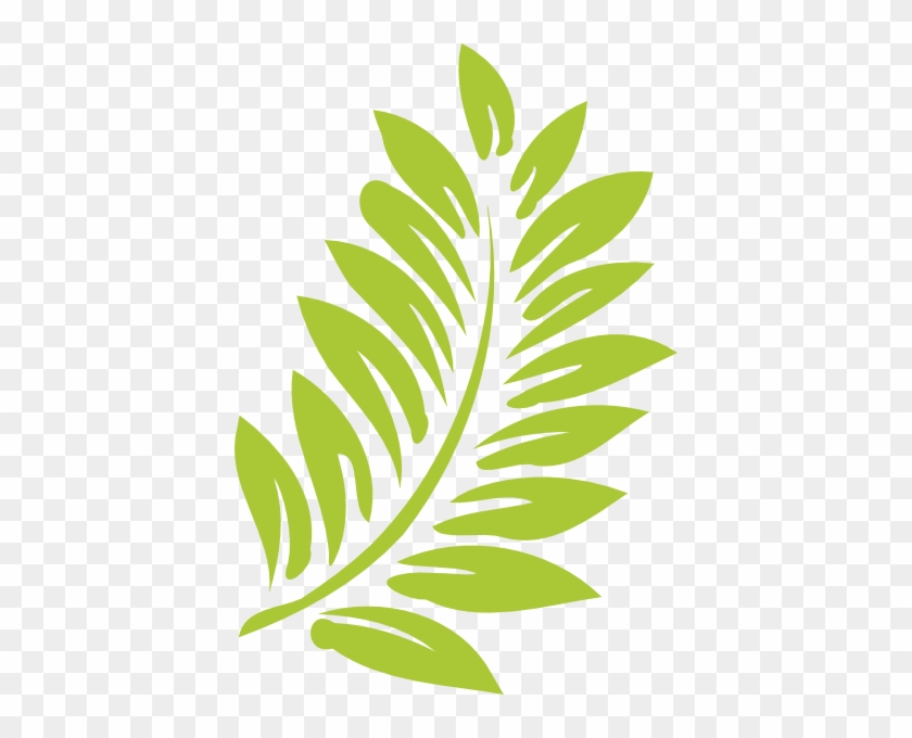 Hawaii Clipart Leaf - Transparent Background Leaves Clipart #278185