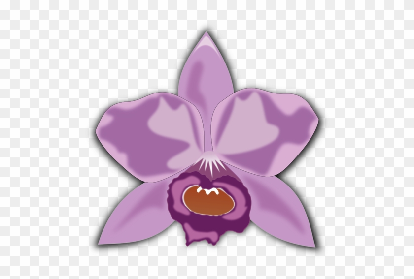 Purple Cattleya - Cattleya Clipart #278192