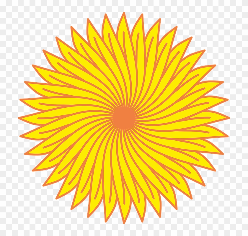 Sunflower Line Art 10, Buy Clip Art - Fraternal Order Of Police #278227