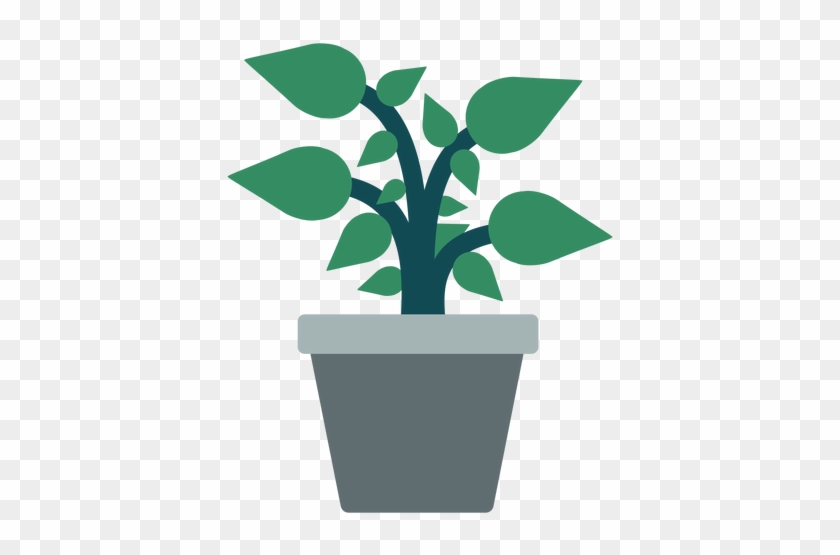Flowerpot With Plant Clipart Transpa Png - Plantas En Macetas Png #278280