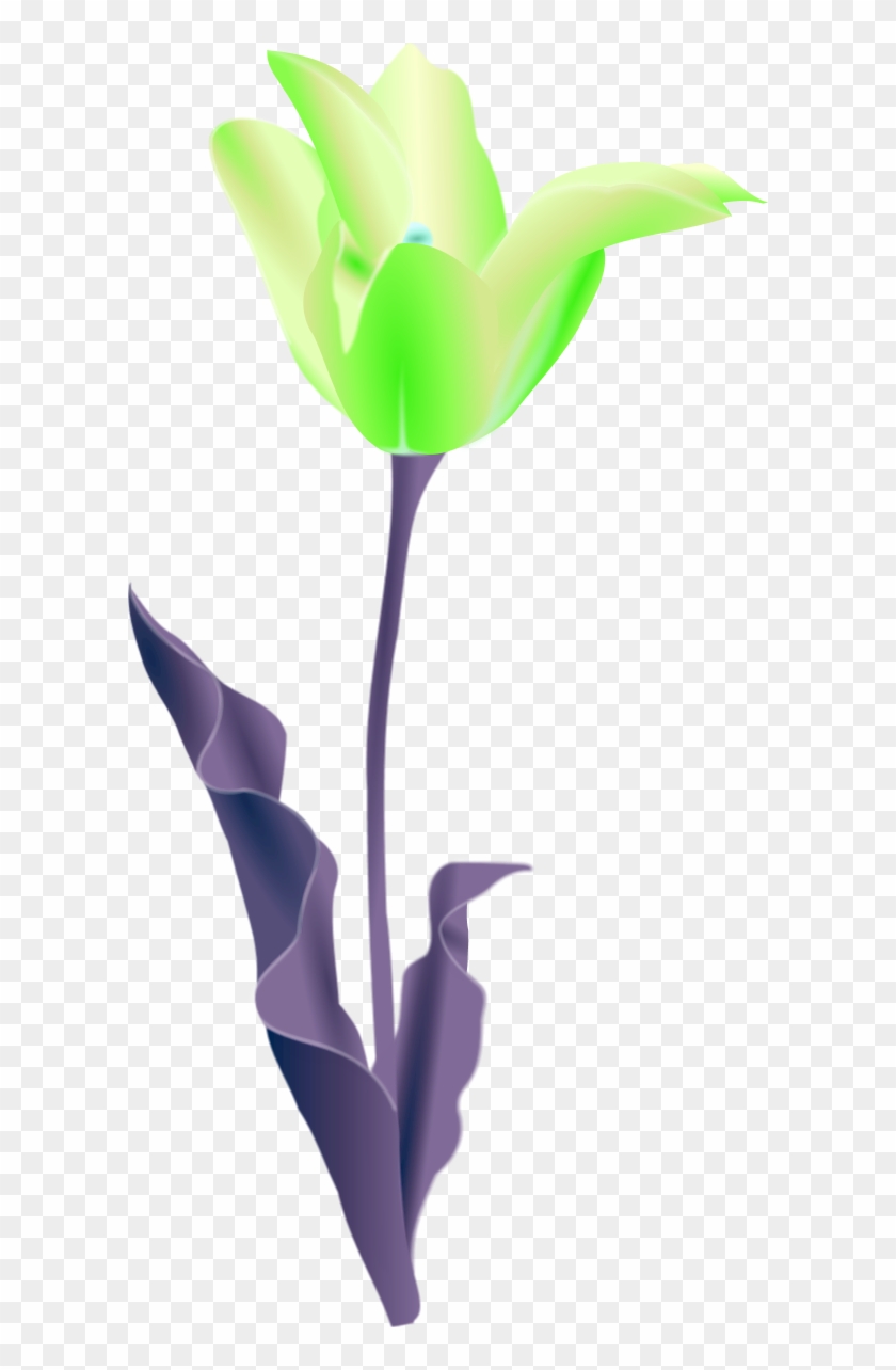 Simple Flower Outline - Tulip Clip Art #278305
