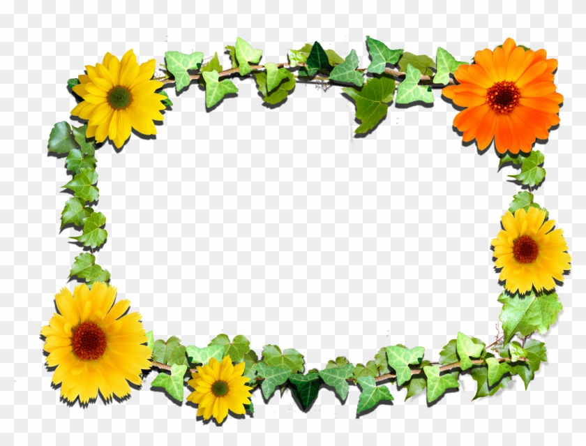 Related Clipart - Sunflower Frame Transparent #278309