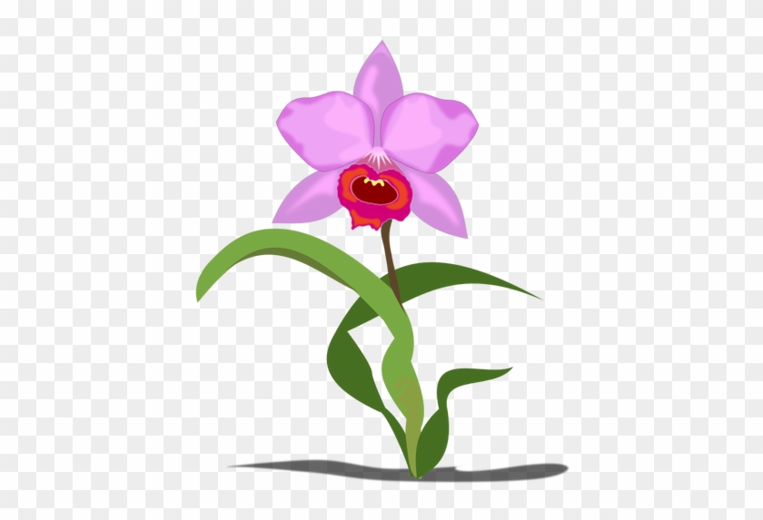 1626 Bloem Gratis Clipart - Orchid Flower Cartoon Png #278334