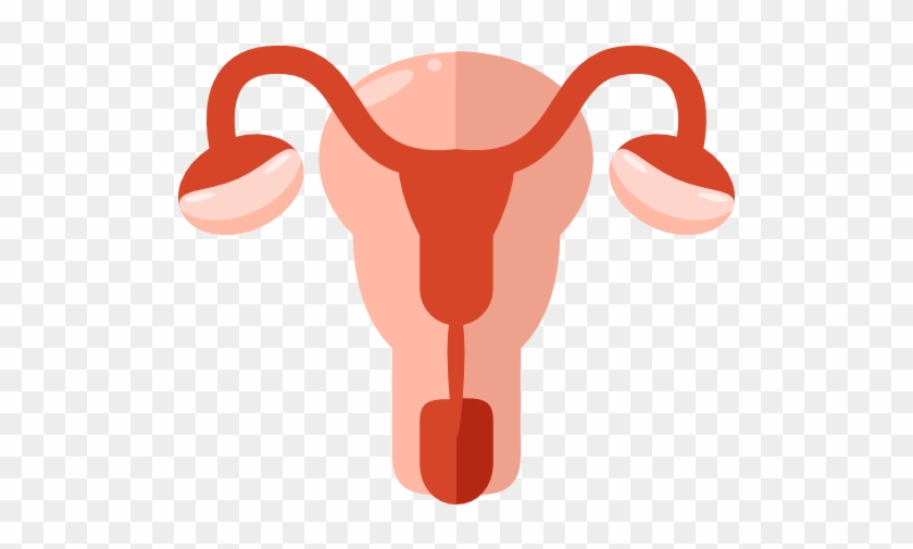 Ask A Gynaecologist - Female Reproductive System Png #278381