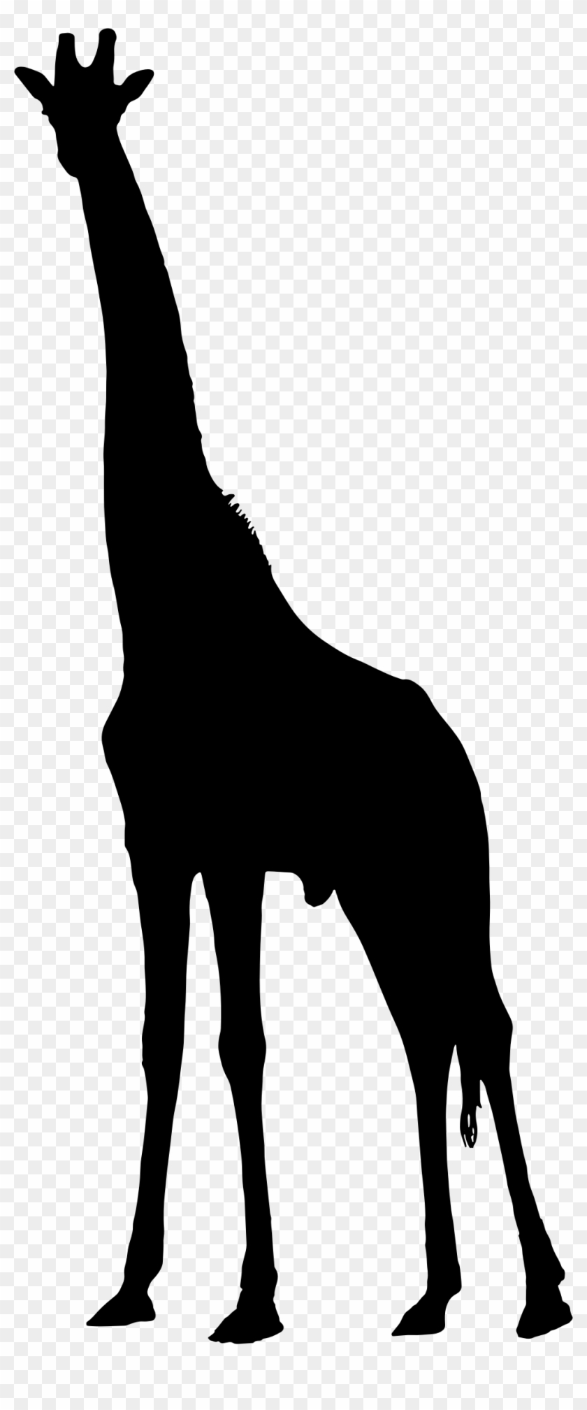 Giraffe Silhouette 2 - Giraffe Silhouette Png #278712