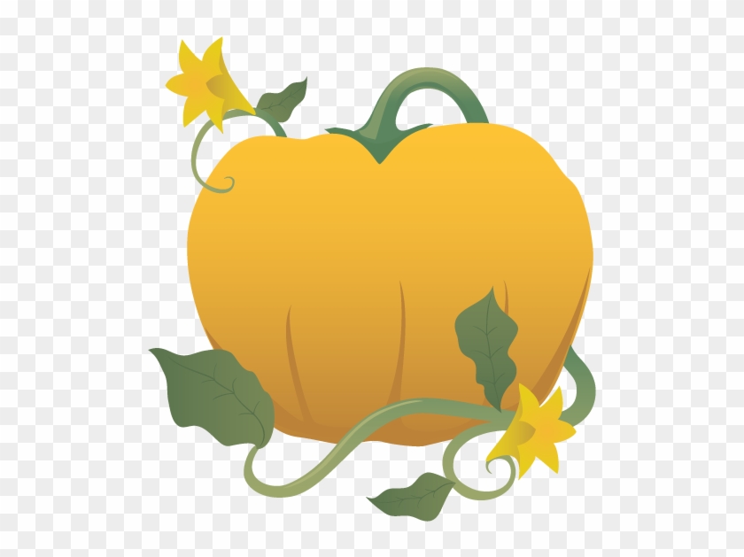 Pumpkin On A Vine Clipart #278787